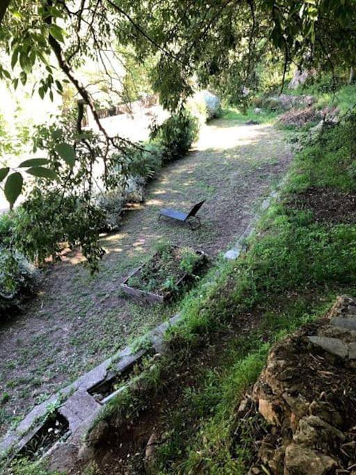 Gîte pour 6 personnes, avec jardin à Saint-Guilhem-le-Désert - 2