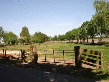 Bauernhaus für 4 Personen in Brinkum, Südliche Nordseeküste, Bild 3