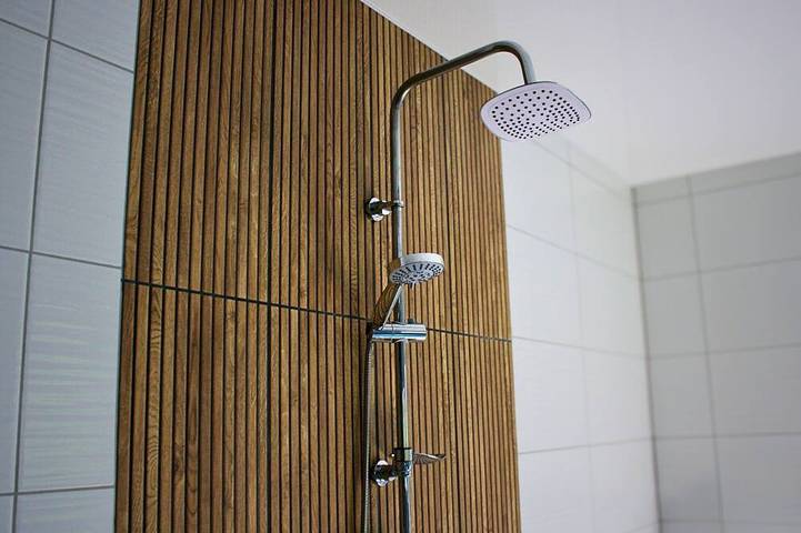 Ferienhaus für 12 Personen, mit Sauna und Garten, mit Haustier in Vöhl - 4