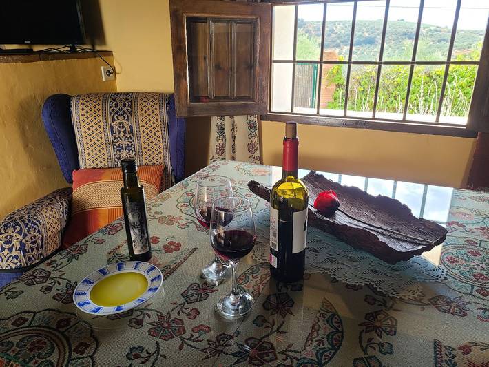 Chalet para 2 personas, con jardín además de jacuzzi y terraza en Andalucía - 3