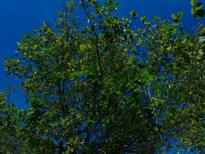 Gîte pour 5 personnes, avec balcon et vue à Castejón de Sos - 3