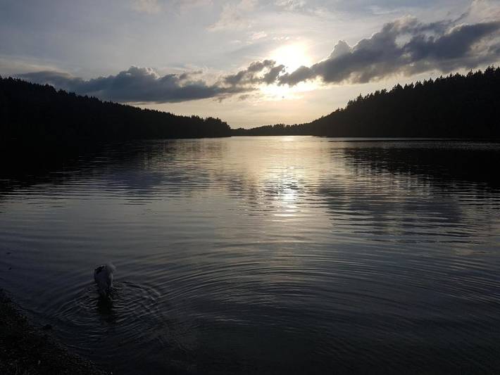 Gîte pour 6 personnes, avec vue ainsi que jardin et piscine à Butgenbach - 3