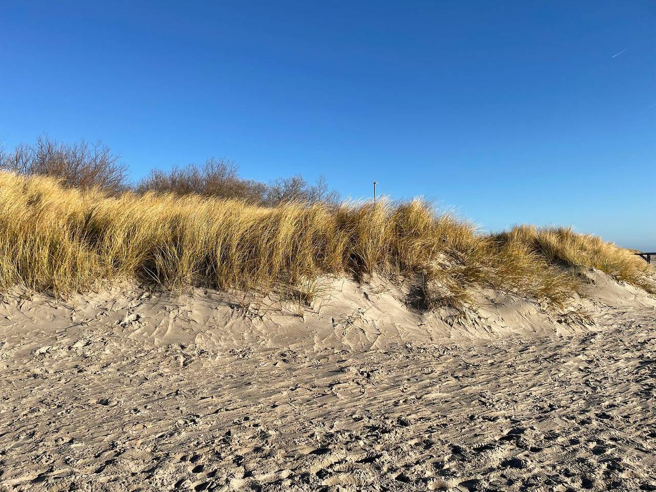 Ganze Wohnung, Hier stranden Sie wie die Seehunde zum Sonnen auf den Sandbänken! in Greveling, Wyk Auf Föhr