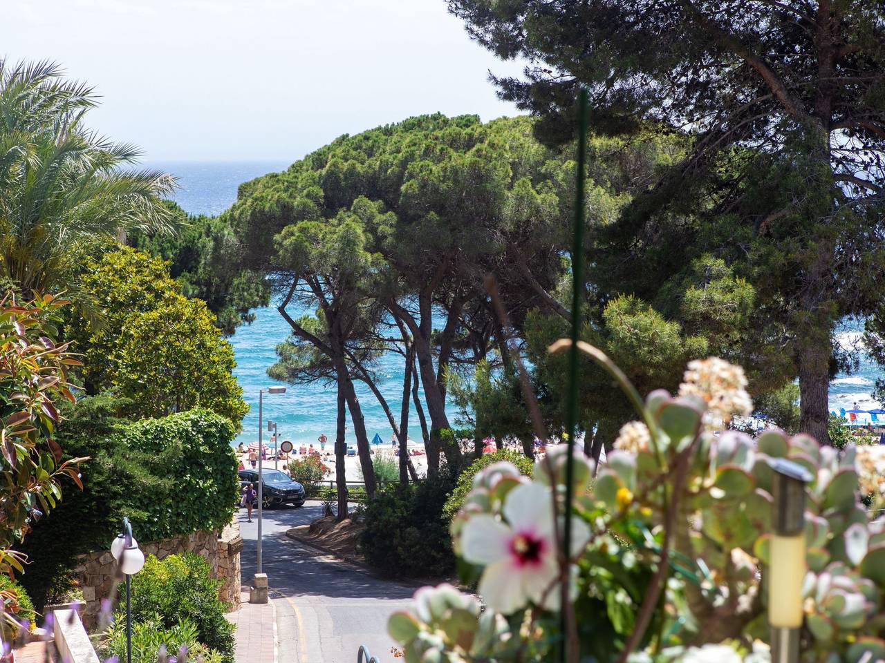 Geheel appartement, Cala Bona in Cala San Francisco, Blanes