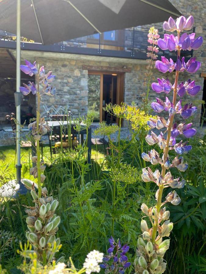 Ferienwohnung für 4 Personen, mit Garten und Ausblick, mit Haustier - 1
