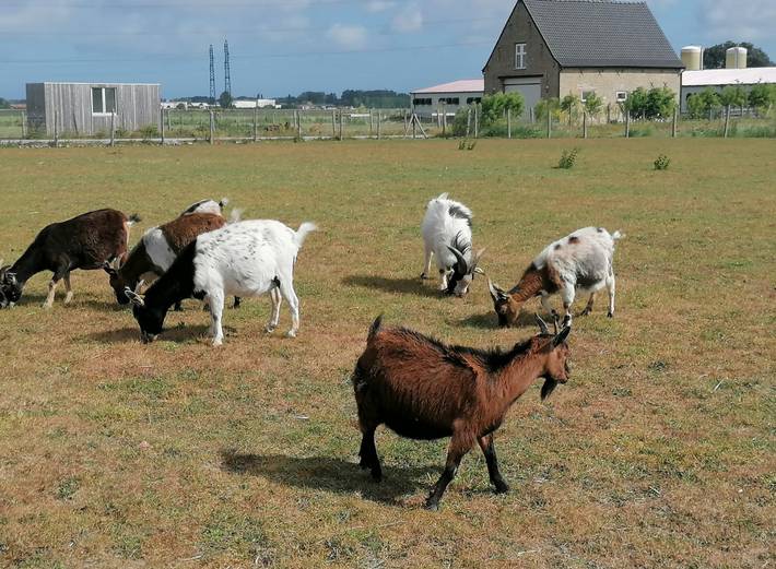 Location de vacances pour 4 personnes, avec terrasse et jardin dans Département Nord - 4