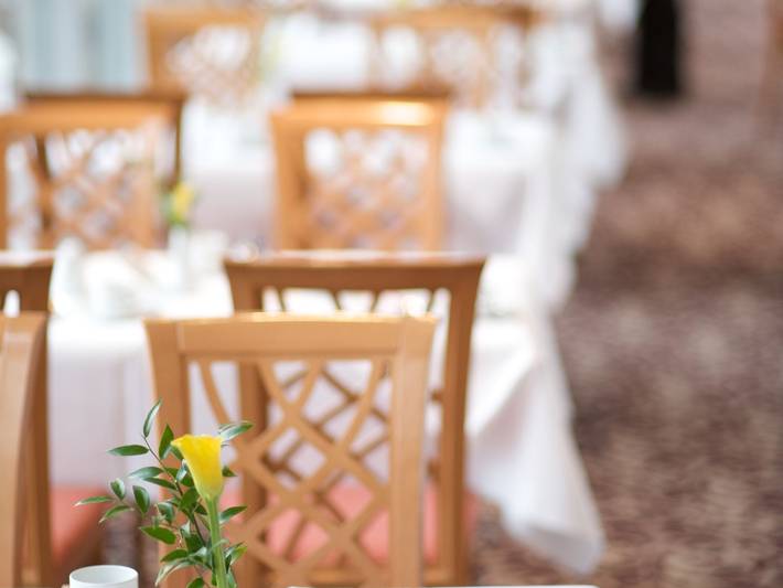 Hotel für 2 Personen, mit Terrasse, mit Haustier in Prohlis - 4