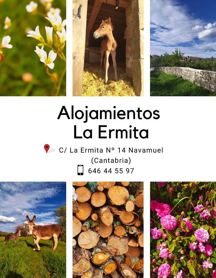 Apartamento de vacaciones para 4 personas, con jardín además de terraza y vistas - 1