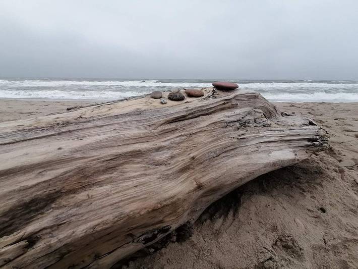 Ferienhaus für 8 Personen, mit Terrasse und Sauna sowie Whirlpool, kinderfreundlich in Thorsminde - 4