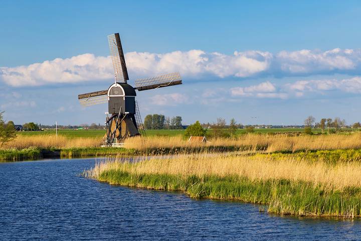 Boot für 6 Personen in Belgien - 4