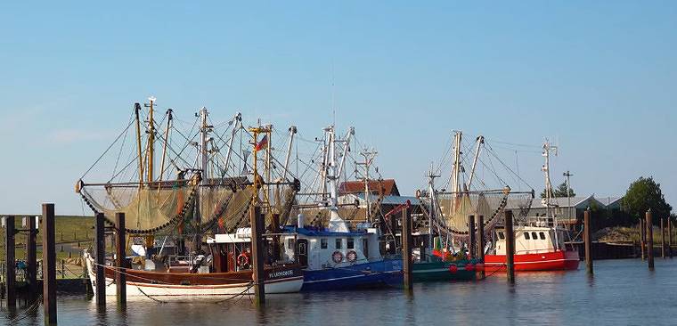 Ferienwohnung für 3 Personen in Fedderwardersiel