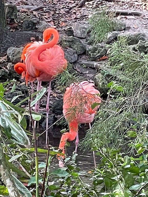 Charming Waterfront Canal Home in beautiful Old Homosassa! 5 Kayaks, Dock, Bikes in Homosassa, Citrus County
