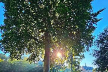 Gîte pour 4 personnes à Maldegem