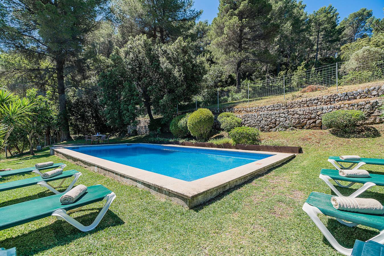 Picassa in Pollença, Mallorca Norte