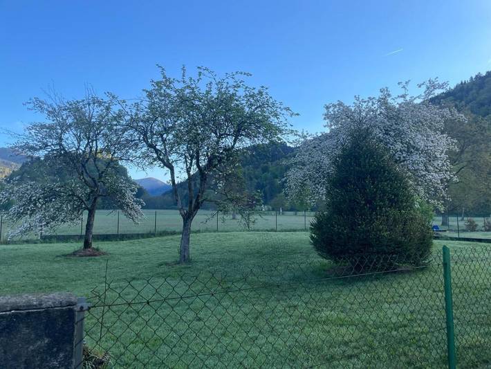 Location de vacances pour 6 personnes, avec jardin et vue à Kruth - 3