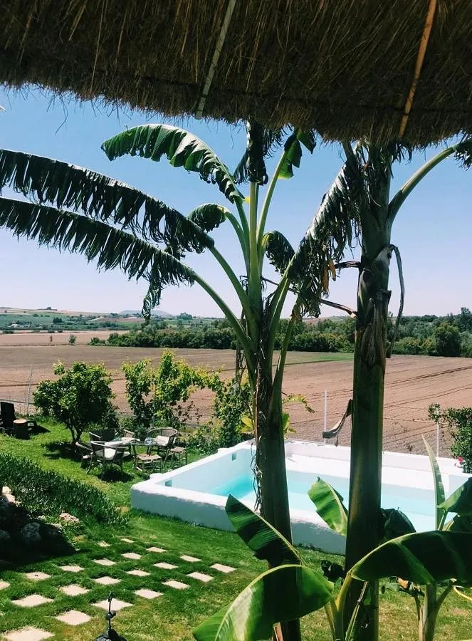 Appartement de vacances pour 4 personnes, avec piscine ainsi que jardin et jacuzzi - 1