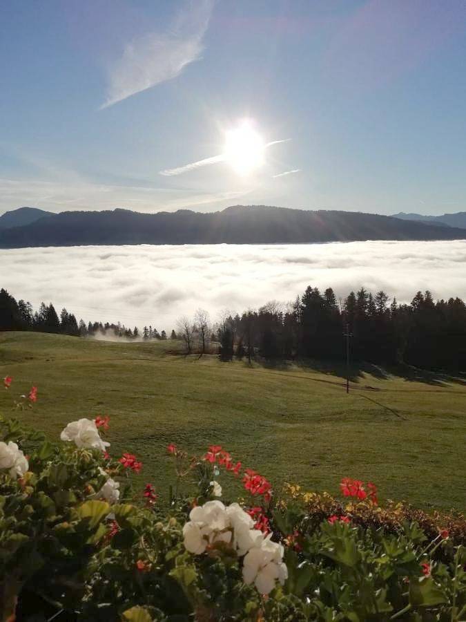 Ferienwohnung für 6 Personen, mit Balkon und Garten sowie Ausblick in Sulzberg (Österreich) - 2