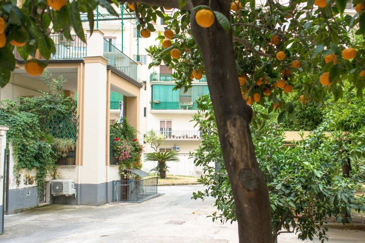 B&B Il Nido in Portici, Parco nazionale del Vesuvio