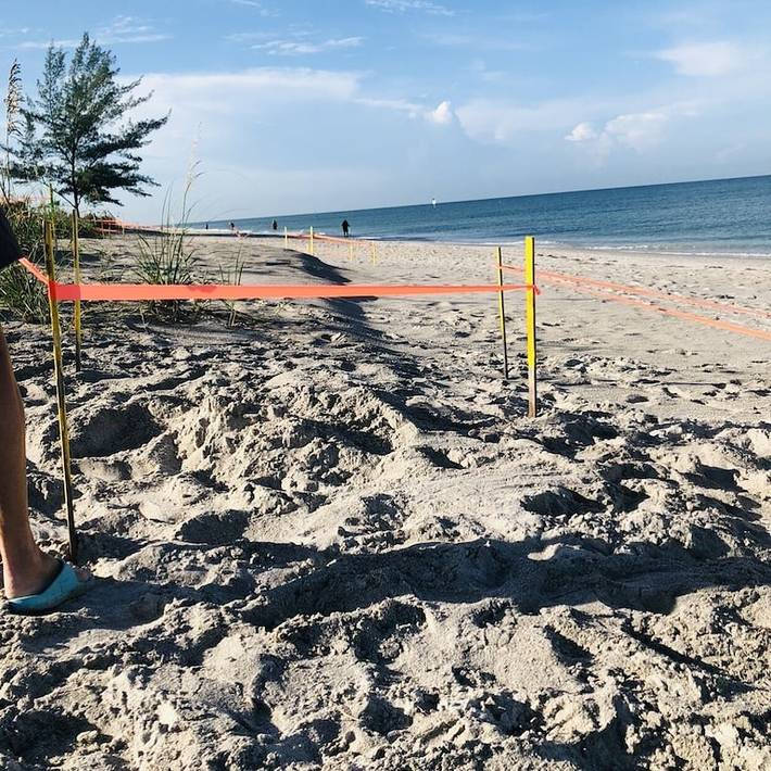 Vacation house for 12 people, with yard in Manasota Key