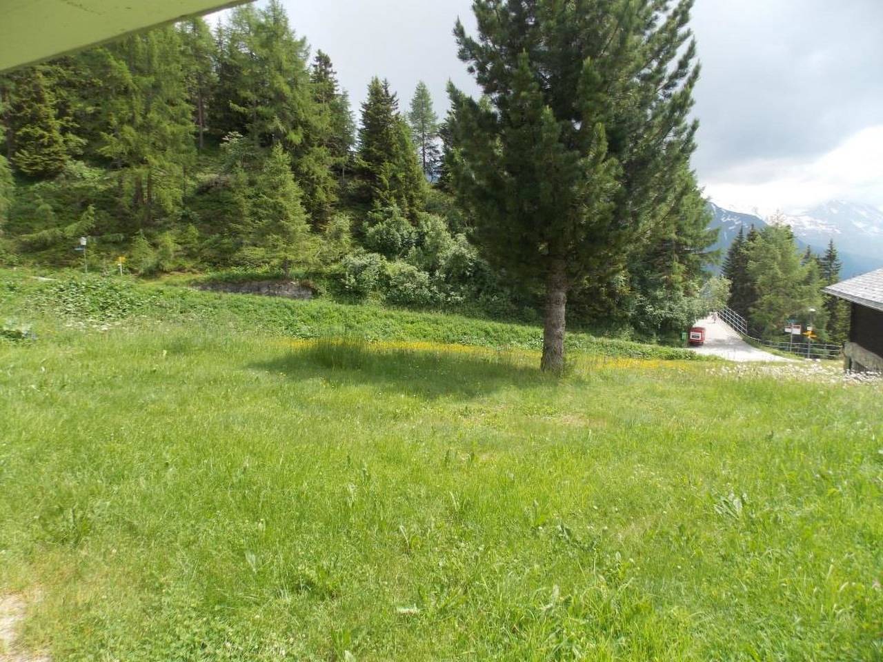 Ganze Wohnung, Abendrot Eg Süd-West in Riederalp, Aletsch Arena