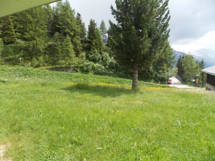 Ganze Wohnung, Abendrot Eg Süd-West in Riederalp, Aletsch Arena