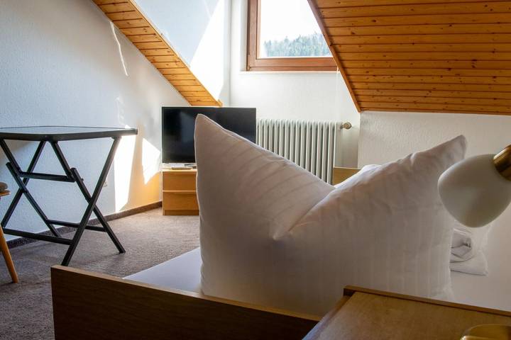 Gasthof - Pension Zur Krone - Einzelzimmer, Etagendusche + Wc in Sigmaringen, Hohenzollern Radweg Etappe 5 Region