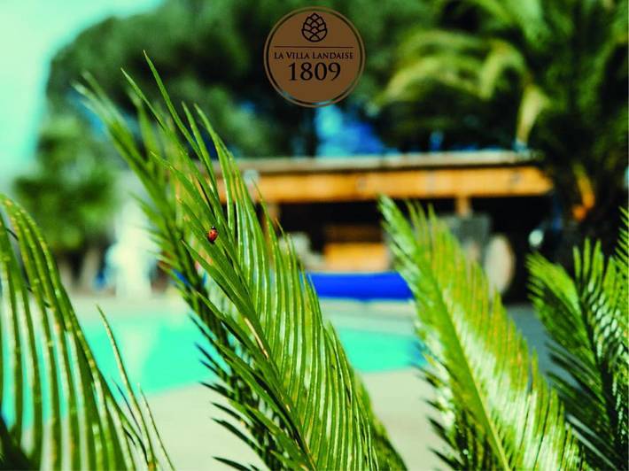 Location de vacances pour 15 personnes, avec jardin ainsi que jacuzzi et piscine, adapté aux familles à Peyrehorade - 3