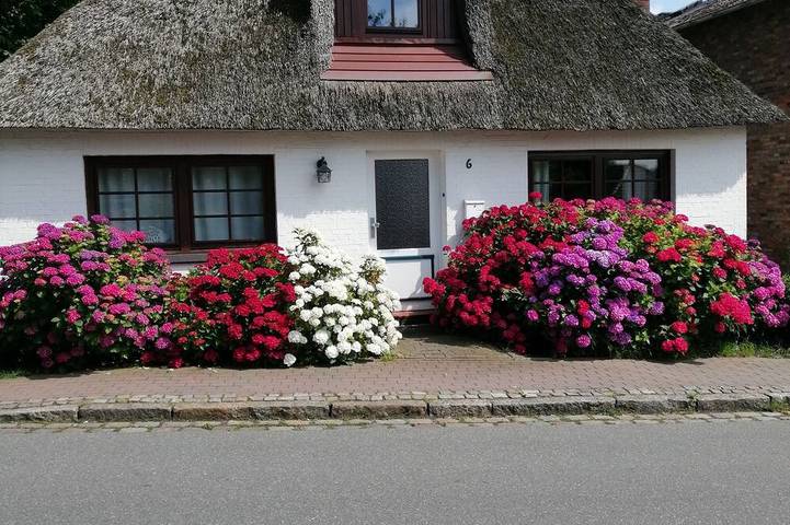 Ferienhaus für 4 Personen, mit Garten