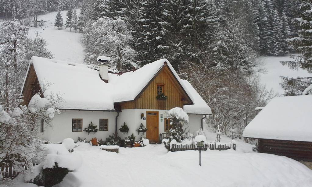 Geheel vakantieappartement, Ferienhaus Lenzau - Ferienhaus für 2-8 Personen in Göstling an der Ybbs, Mostviertel Region