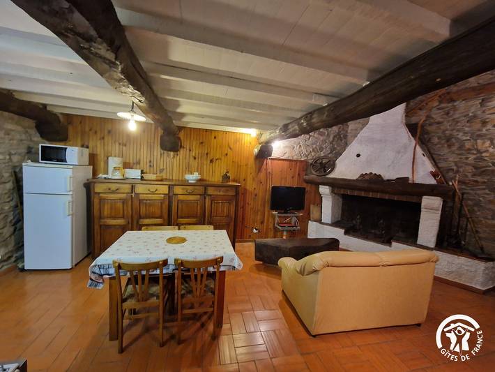 Gîte pour 4 personnes, avec terrasse, animaux acceptés dans le Tarn - 2