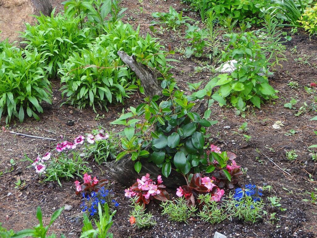 Wir sind ein abgelegenes, ruhiges Bed And Breakfast in der oberen Halbinsel! in Gogebic County