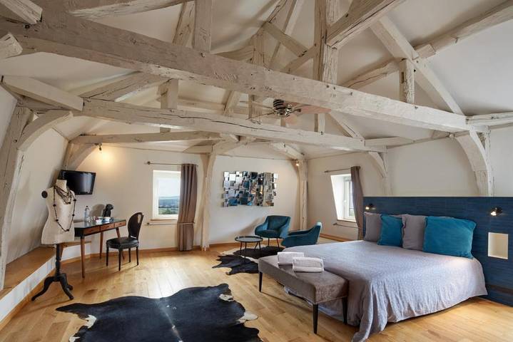 Chambre d’hôte pour 2 personnes, avec vue et piscine ainsi que terrasse et jardin, animaux acceptés à Hautvillers - 3