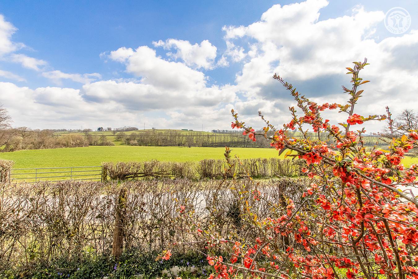 Le Montigny in Uxeau, Región de Charolles