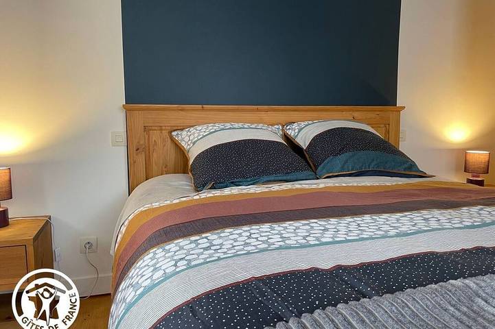 Gîte pour 5 personnes, avec jardin, animaux acceptés à Damvix - 3