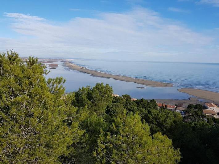 Gîte pour 3 personnes, avec vue et terrasse, animaux acceptés à La Palme - 4
