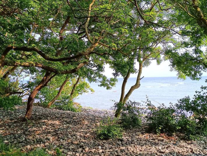 Location de vacances pour 4 personnes, adapté aux familles dans Borre - 4