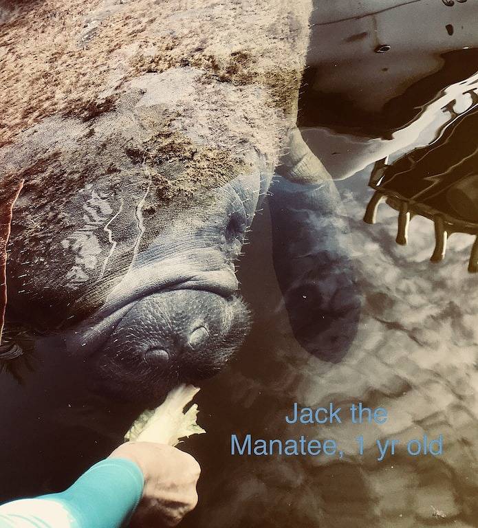 Key Largo, Calusa, 2 Schlafzimmer 1. 5 Bad mit abgeschirmten in Terrasse in Key Largo