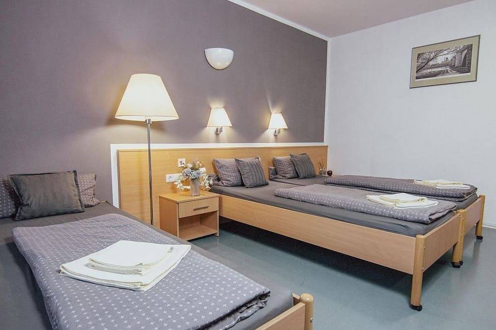 Einzelzimmer - Green Night Hotel in Falkenstein, Chemnitz und Umgebung