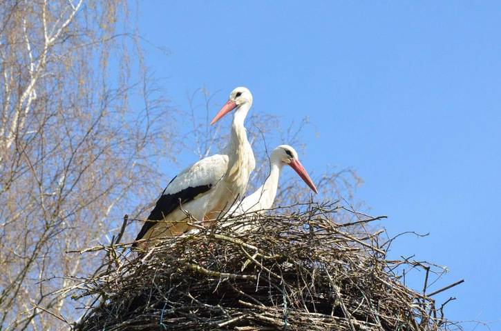 Maison d’hôte pour 2 personnes, avec jardin et vue
