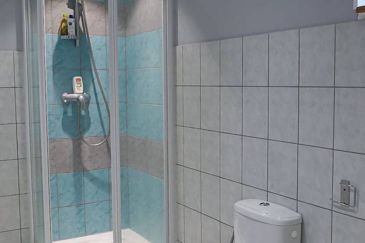 Gîte pour 4 personnes à Montricher-Albanne - 4