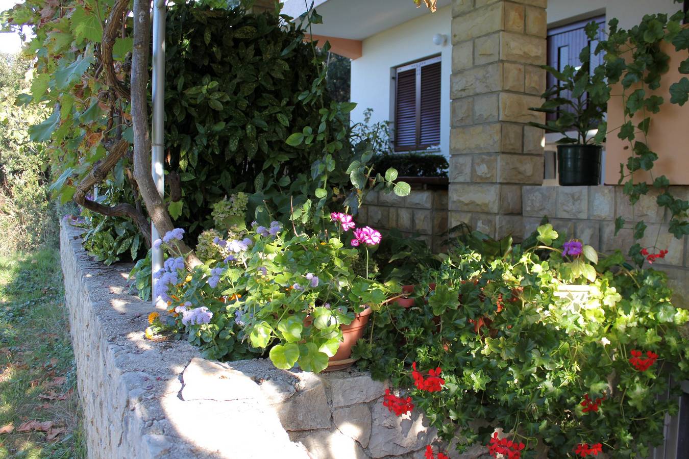 Ganze Wohnung, 1-Zimmer-Ferienwohnung mit Terrasse und Meerblick Kozino, Zadar A-5749-c in Strand Kožino, Zadar (Kommun)