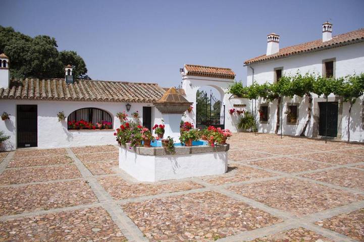 Casa rural para 16 personas, con vistas además de jardín y piscina en Los Pedroches - 3