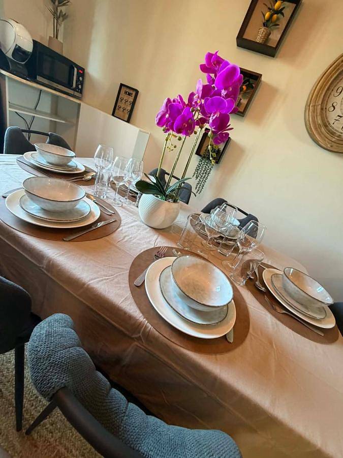 Gîte pour 6 personnes, avec terrasse dans Saint-Pourçain-sur-Besbre - 3