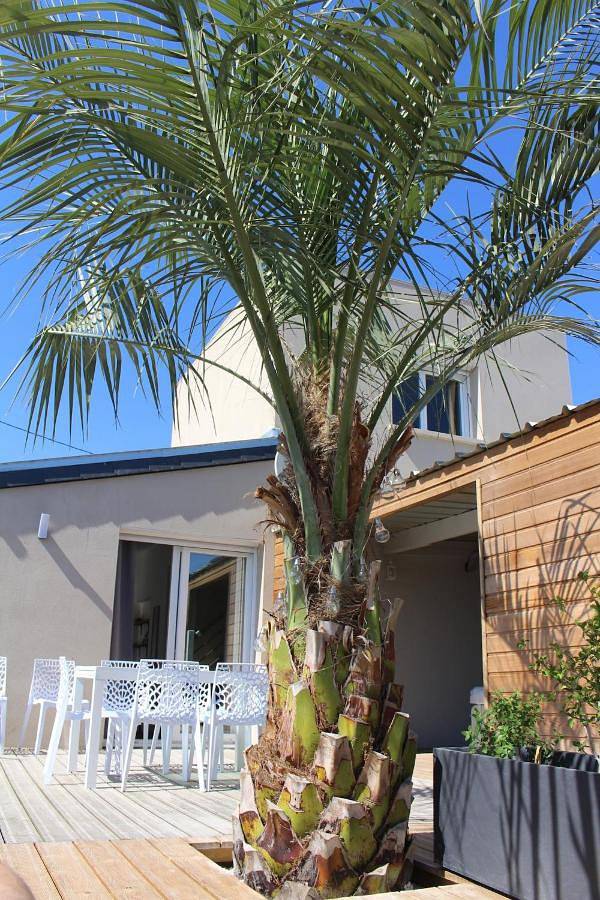 Location de vacances pour 8 personnes, avec terrasse et vue à Locmaria-Plouzané - 4