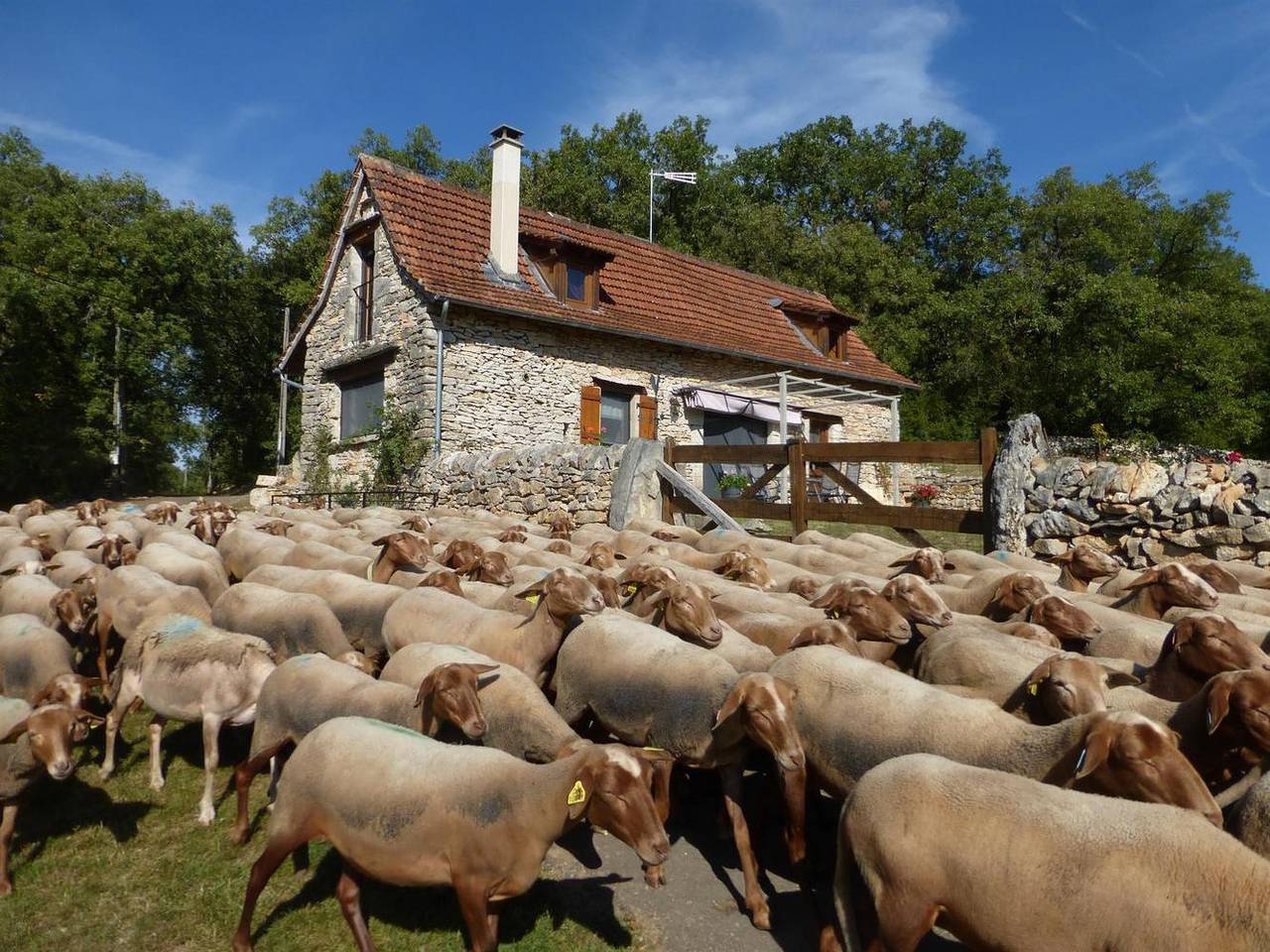 Gîte für 4 Personen mit Garten in Cajarc, Regionaler Naturpark Causses du Quercy