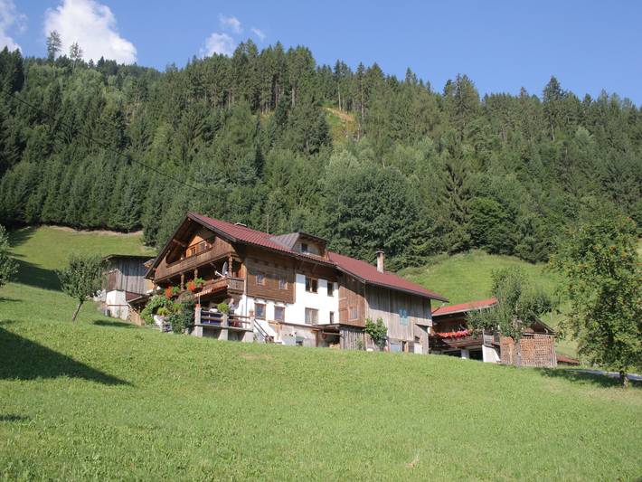 Ferienwohnung für 8 Personen, mit Balkon und Terrasse in Kaltenbach - 4