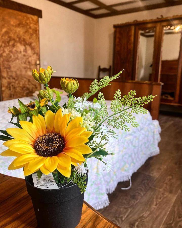 Antico Casolare da Francesca in Porto Viro, Polesine