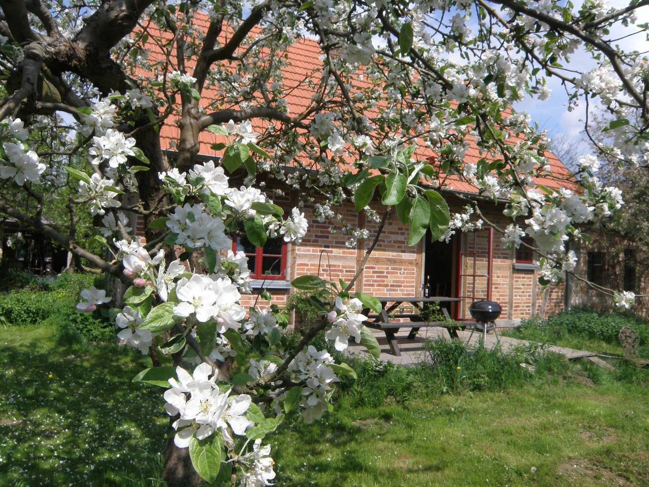 Ferienhaus Apfelhof in Schwinkendorf, Moltzow