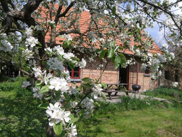 Ferienhaus Apfelhof in Schwinkendorf, Moltzow