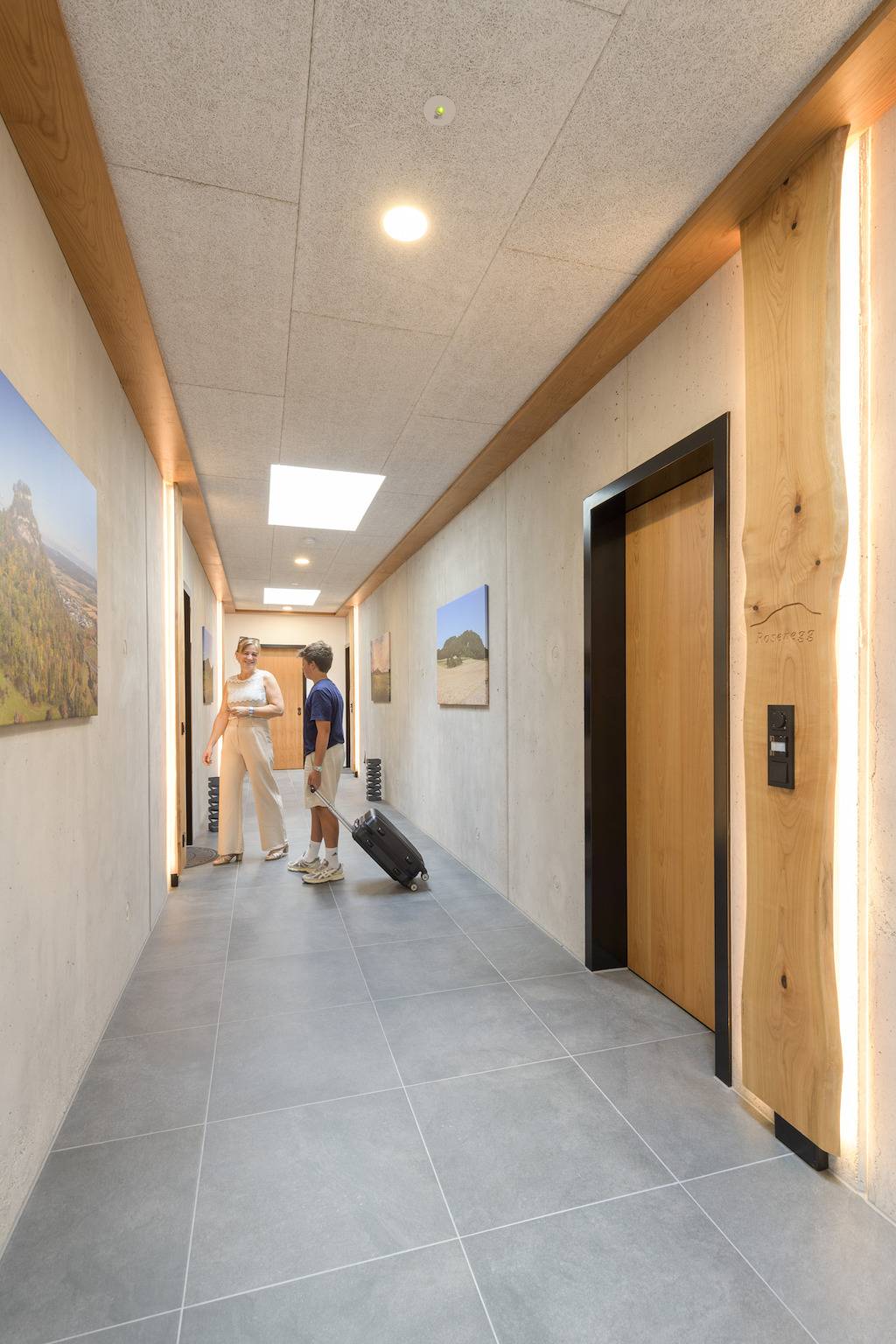 Ganze Ferienwohnung, Hohentwiel Apartments - Deluxe Studio mit Kingsize-Bett, voll ausgestattete Küche, 34 qm in Singen, Hegau